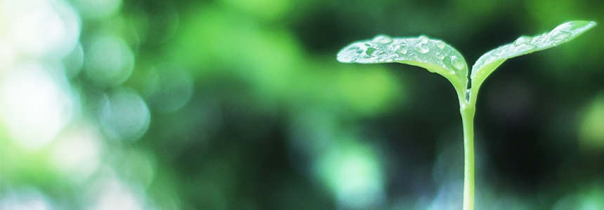 環境保全への取り組み