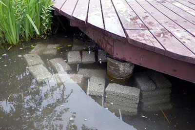 修景池での検証