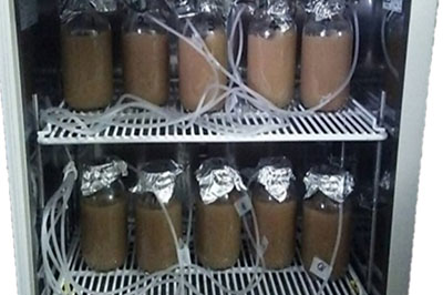 微生物資材の探索実験